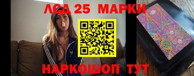 гидра Новодвинск