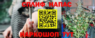 гидра Новодвинск