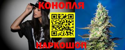 гидра Новодвинск