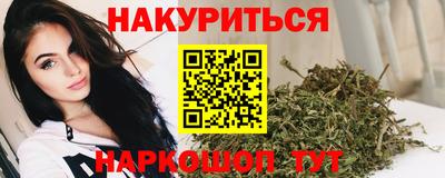 гидра Новодвинск