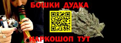 гидра Новодвинск