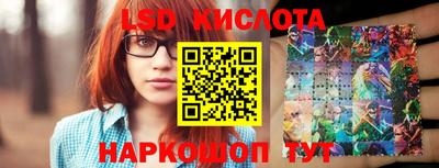 гидра Новодвинск