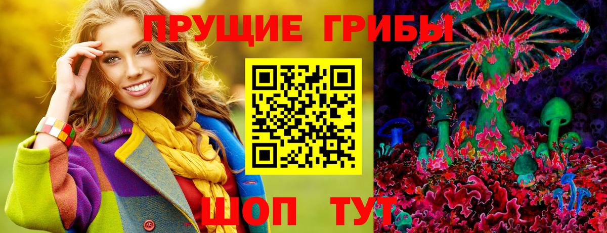 Псилоцибиновые грибы Psilocybine cubensis Славгород